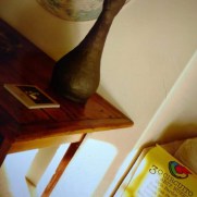 89789FA4-ADBB-4821-AC77-8ABCA9B0D7F8 89789FA4-ADBB-4821-AC77-8ABCA9B0D7F8